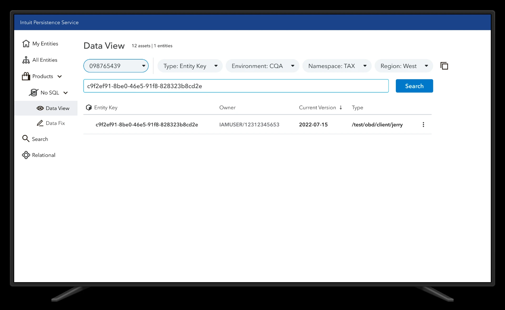 Data View — entity key search with account, type, environment, namespace and region filters and a single result row