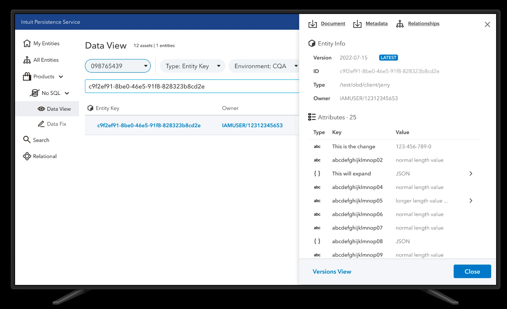 Data View — entity detail side panel showing entity info and 25 attributes
