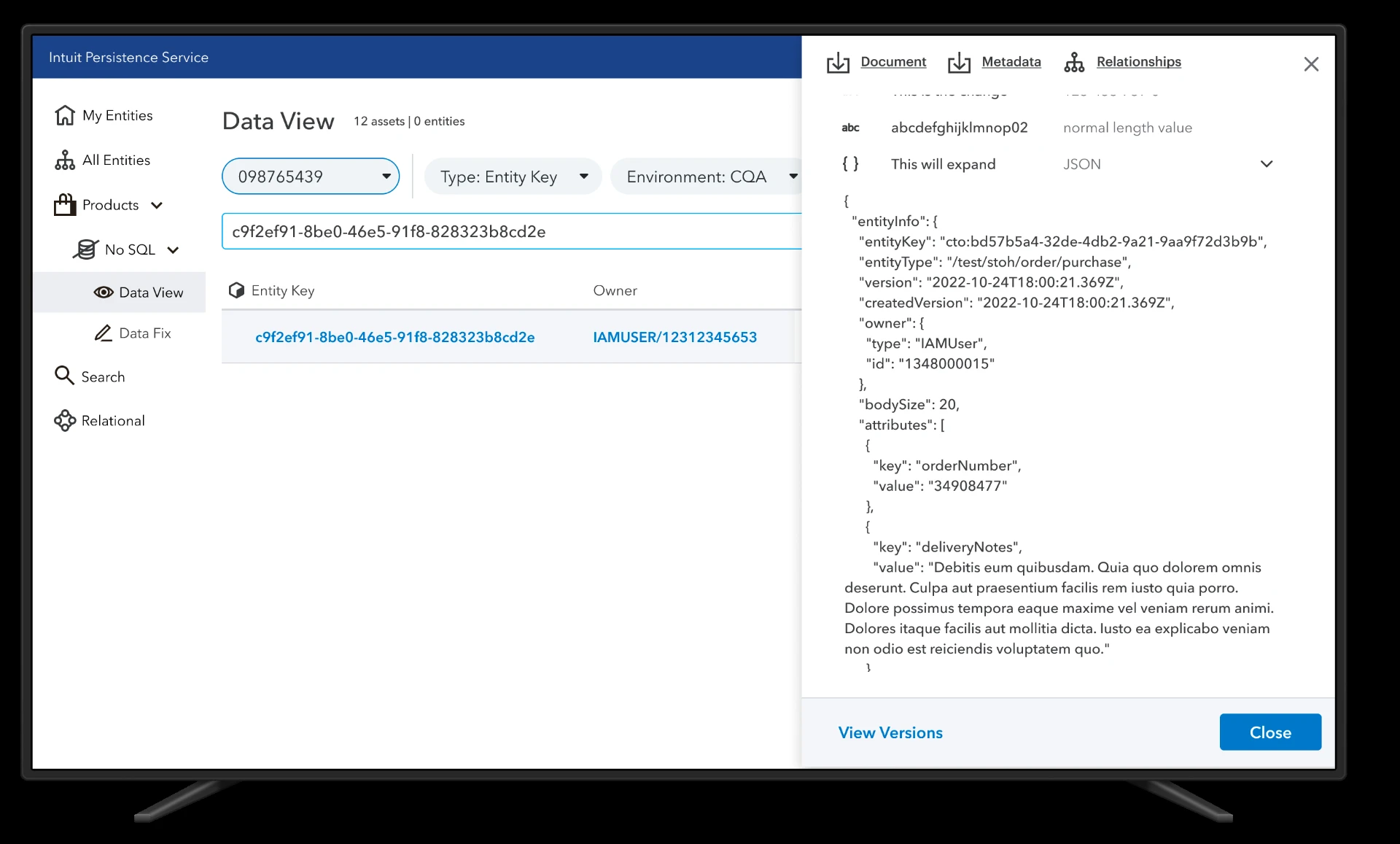 Data View — detail panel with an expanded JSON attribute